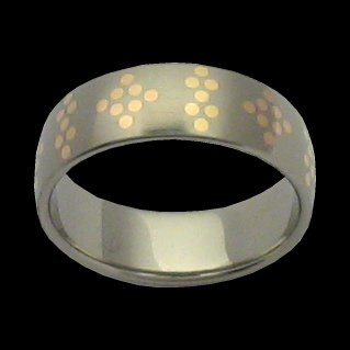 Titanring mit Goldpunkten